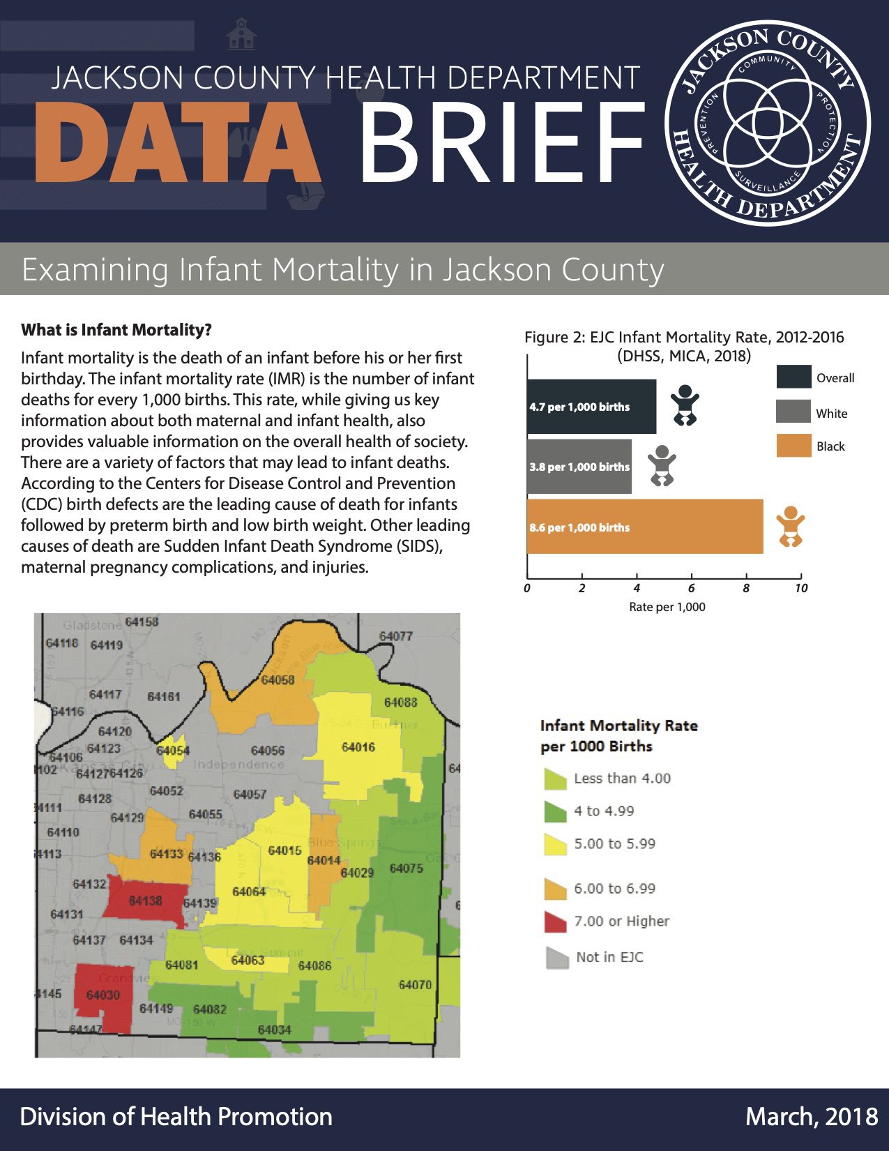 Data Brief Infant Mortality