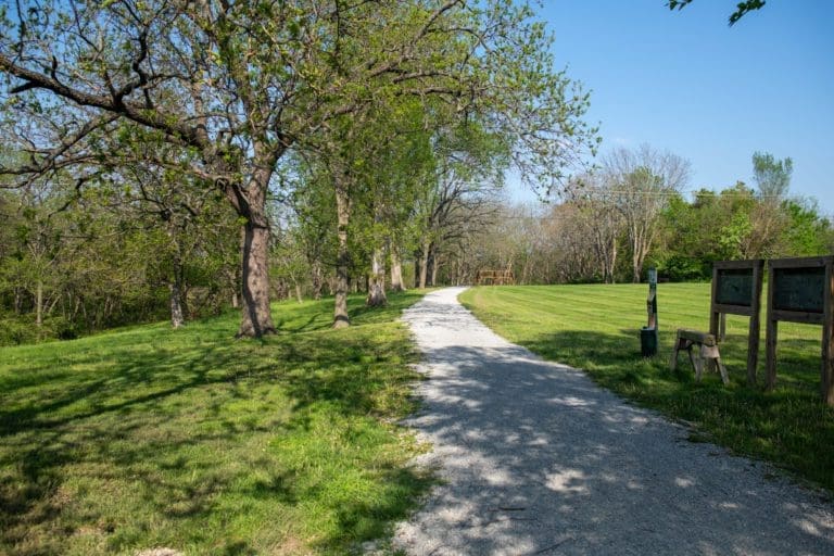 Tick Bites Cause Allergies? AGS 101